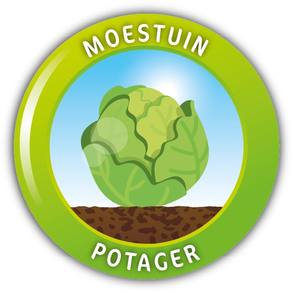 Moestuin